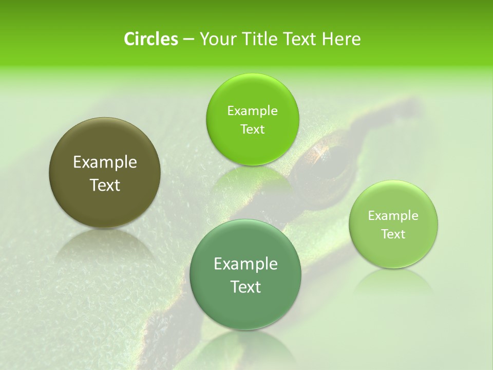 Red Lifestyle Flower PowerPoint Template