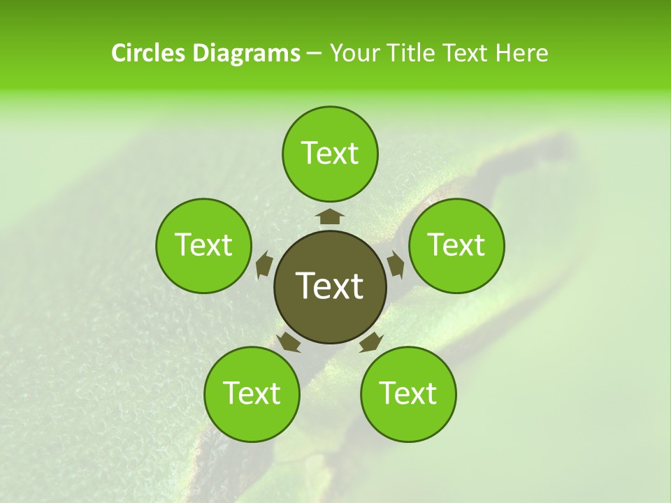 Red Lifestyle Flower PowerPoint Template