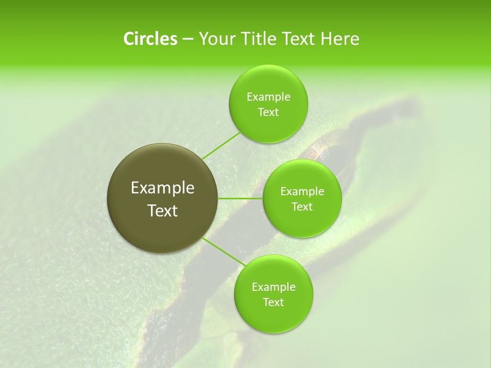 Red Lifestyle Flower PowerPoint Template