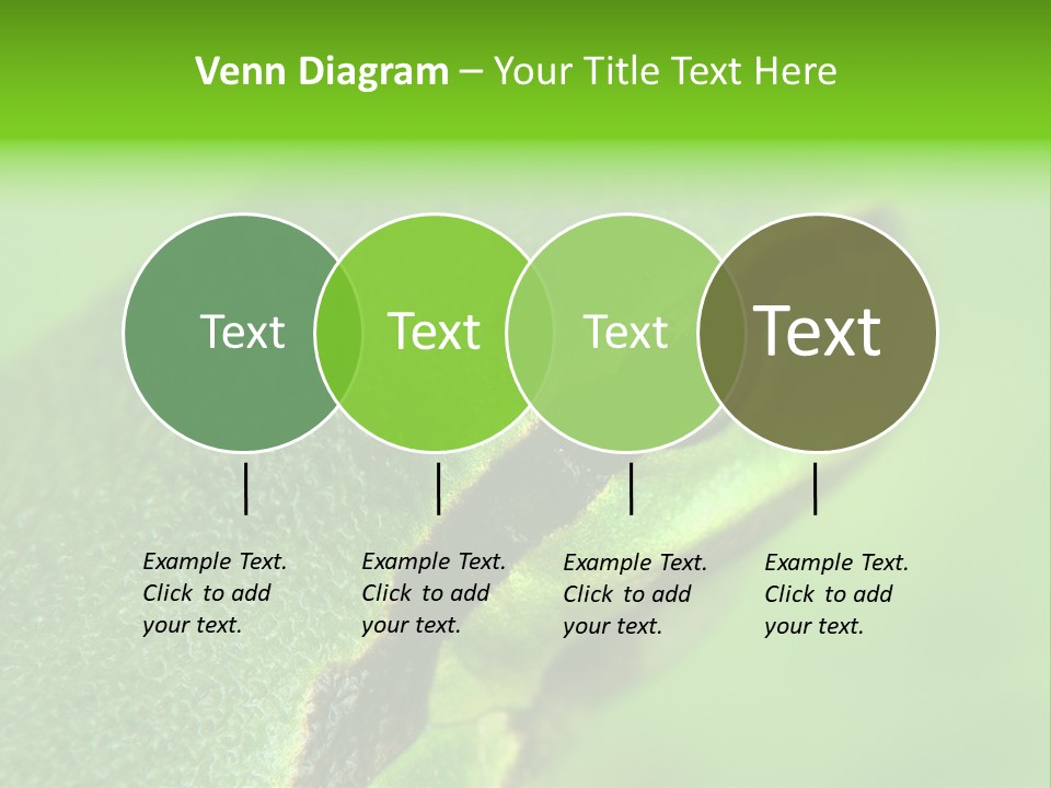 Red Lifestyle Flower PowerPoint Template