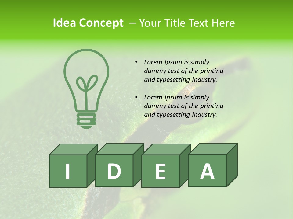 Red Lifestyle Flower PowerPoint Template