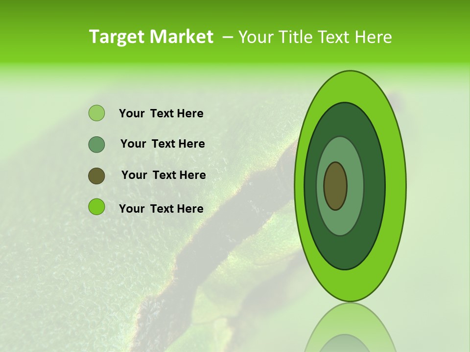 Red Lifestyle Flower PowerPoint Template