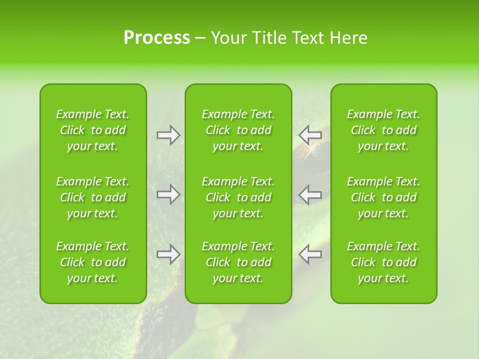 Red Lifestyle Flower PowerPoint Template