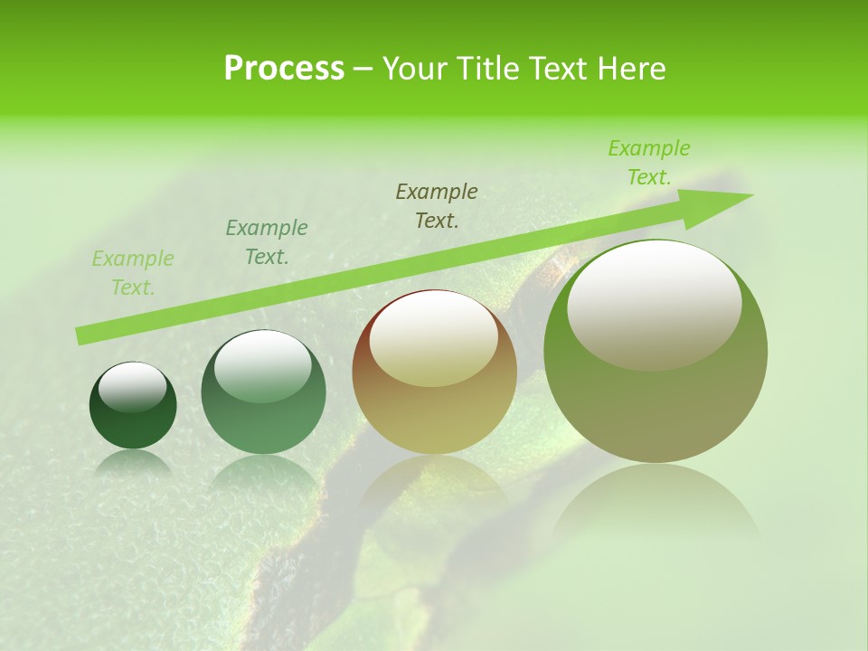 Red Lifestyle Flower PowerPoint Template