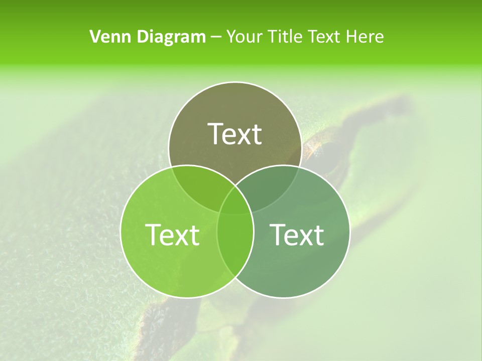 Red Lifestyle Flower PowerPoint Template