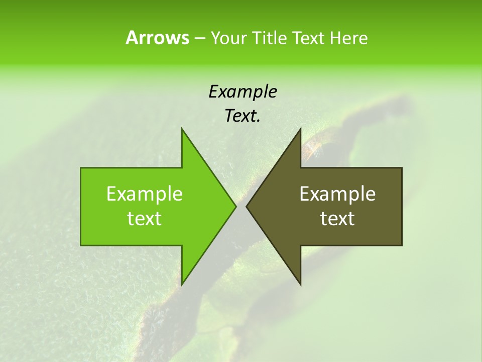 Red Lifestyle Flower PowerPoint Template