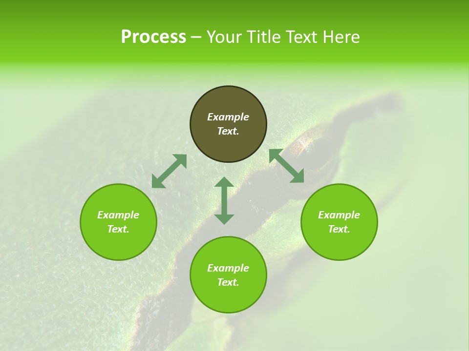 Red Lifestyle Flower PowerPoint Template