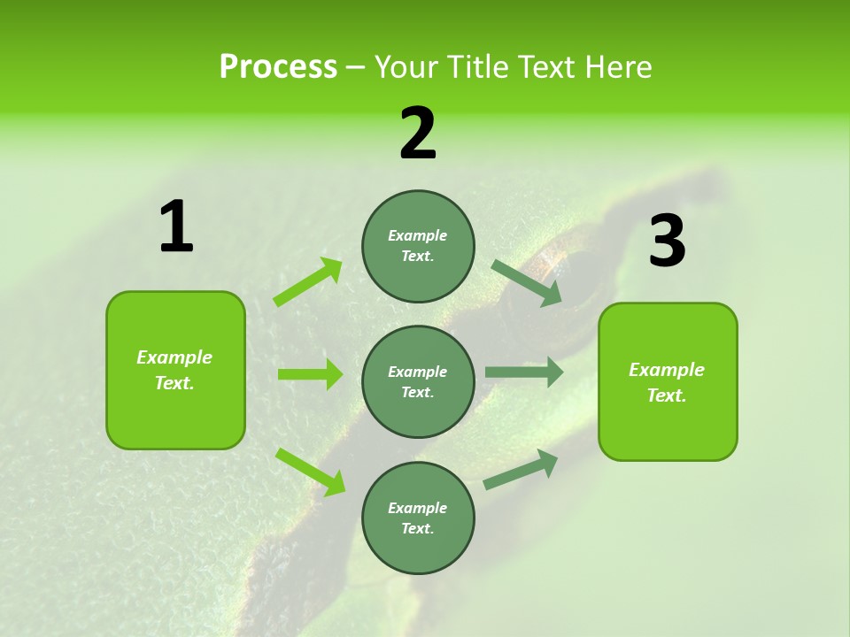 Red Lifestyle Flower PowerPoint Template