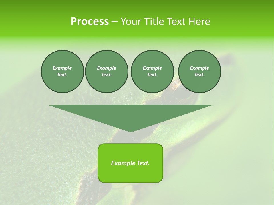 Red Lifestyle Flower PowerPoint Template