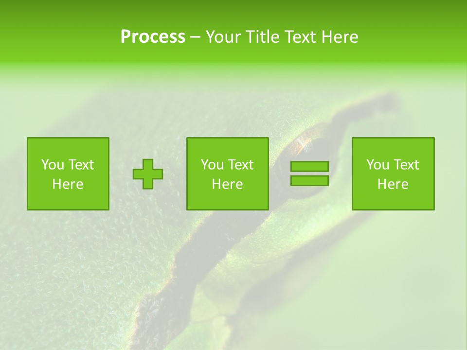 Red Lifestyle Flower PowerPoint Template
