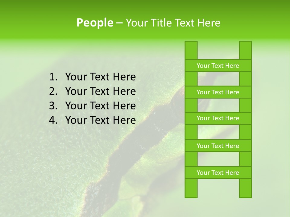 Red Lifestyle Flower PowerPoint Template