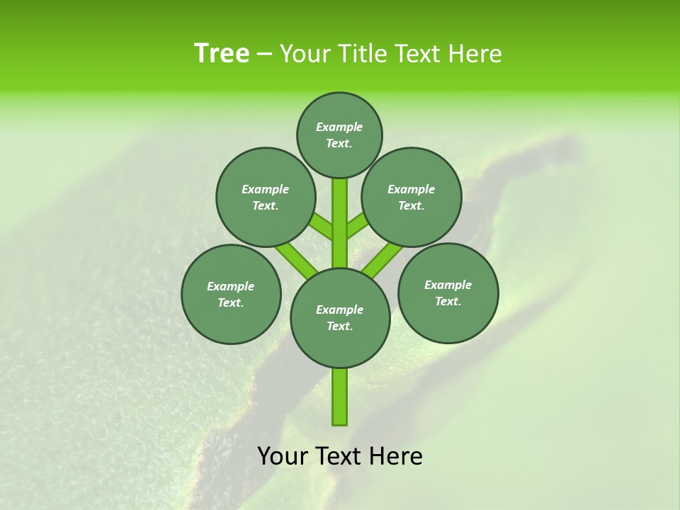 Red Lifestyle Flower PowerPoint Template