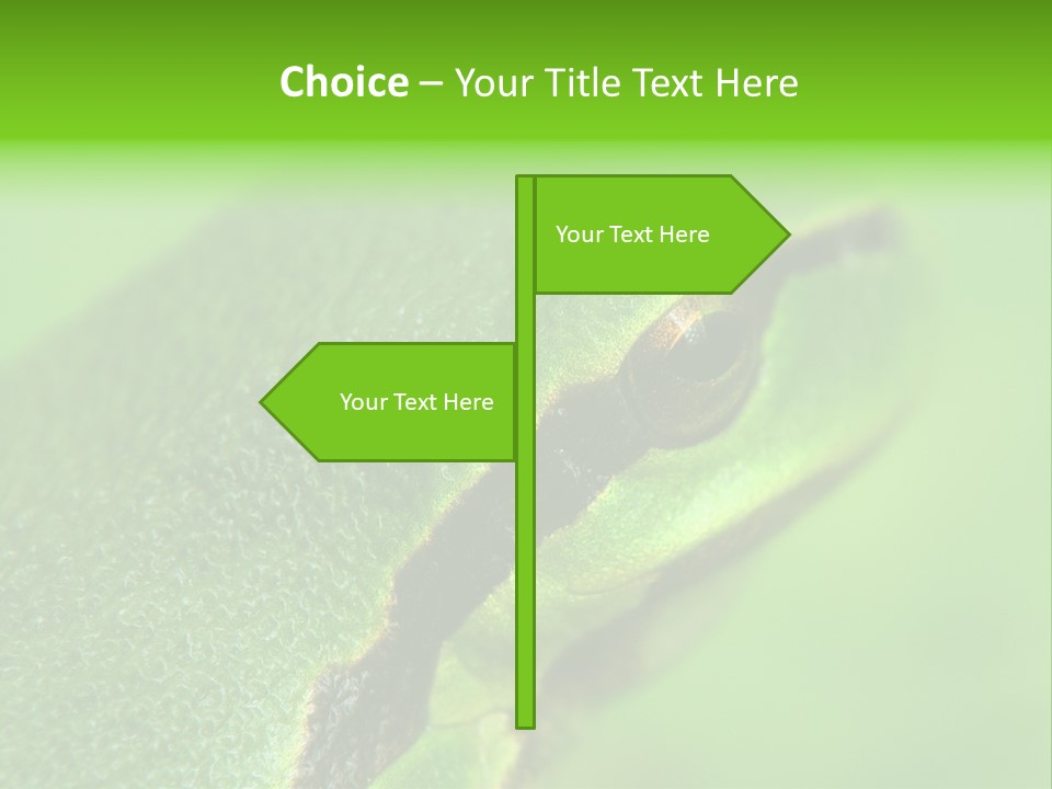 Red Lifestyle Flower PowerPoint Template