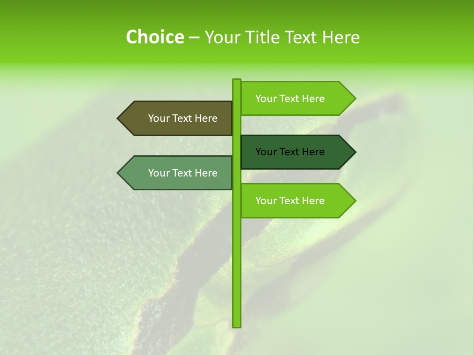 Red Lifestyle Flower PowerPoint Template