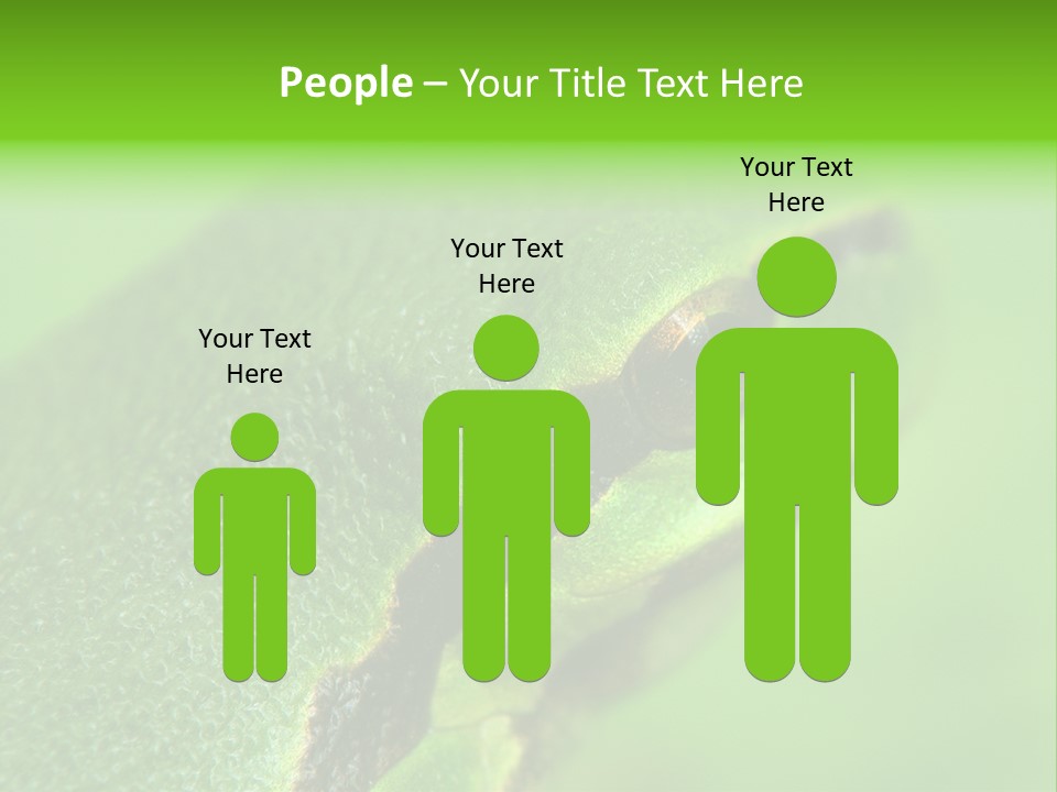 Red Lifestyle Flower PowerPoint Template