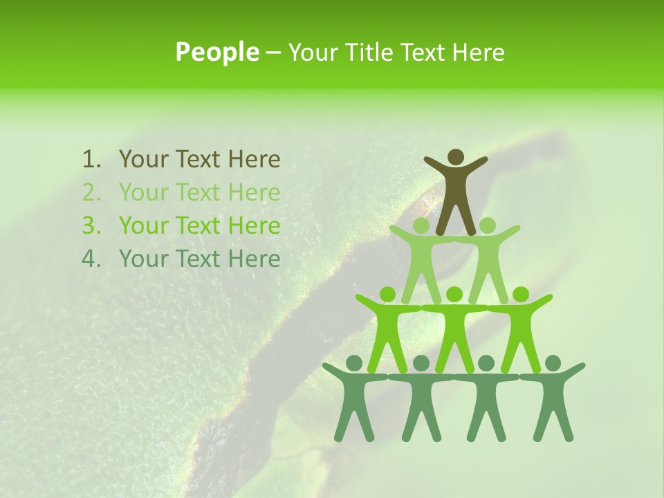 Red Lifestyle Flower PowerPoint Template