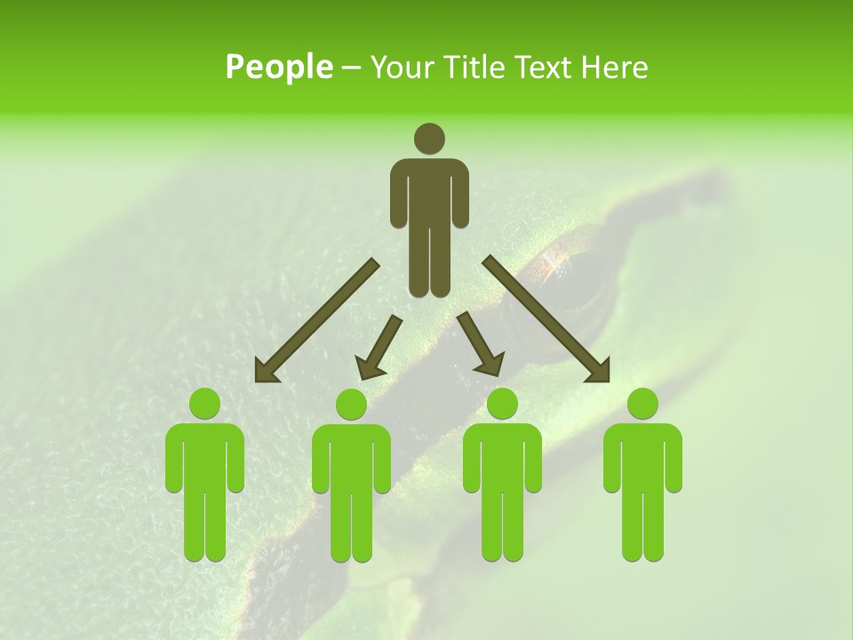 Red Lifestyle Flower PowerPoint Template