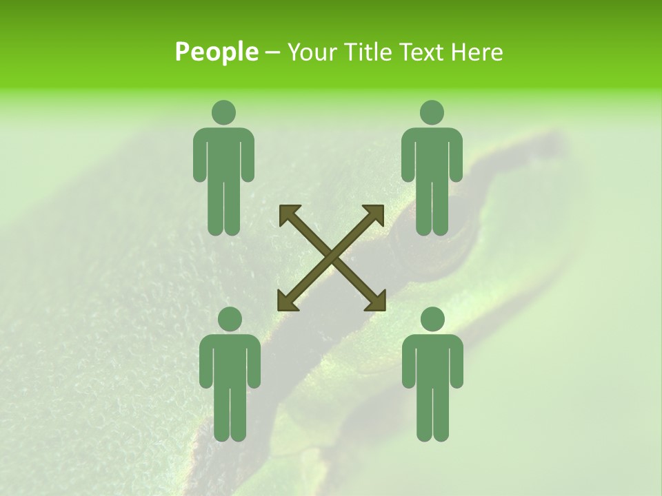 Red Lifestyle Flower PowerPoint Template