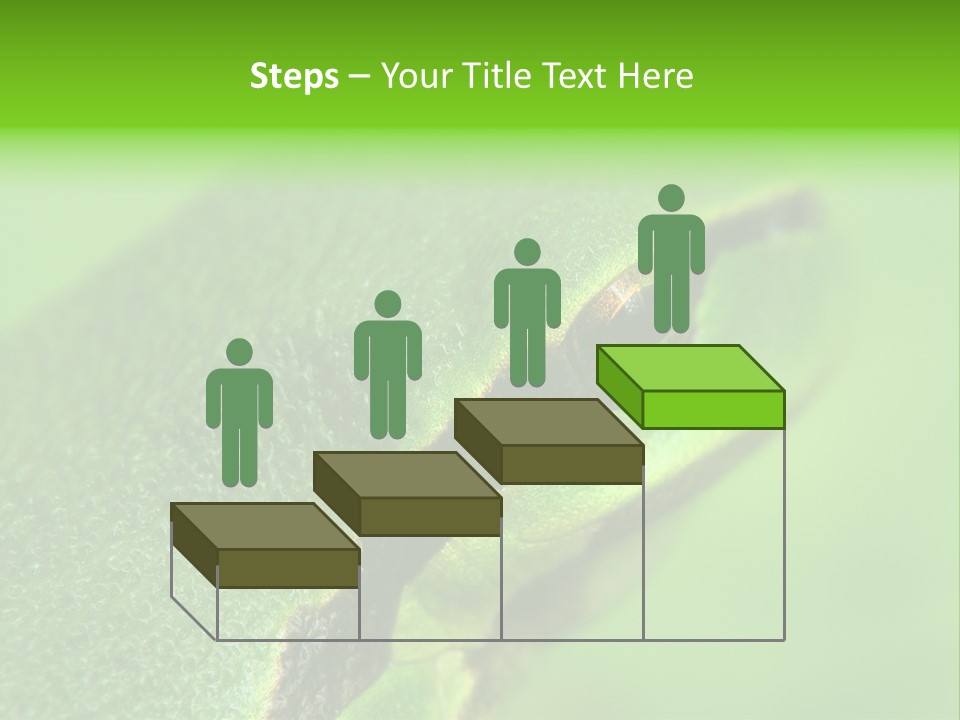 Red Lifestyle Flower PowerPoint Template