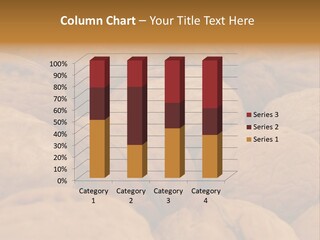 Natural Open Selection PowerPoint Template