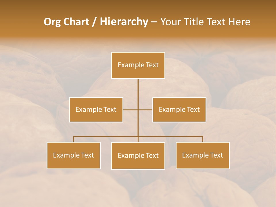 Natural Open Selection PowerPoint Template
