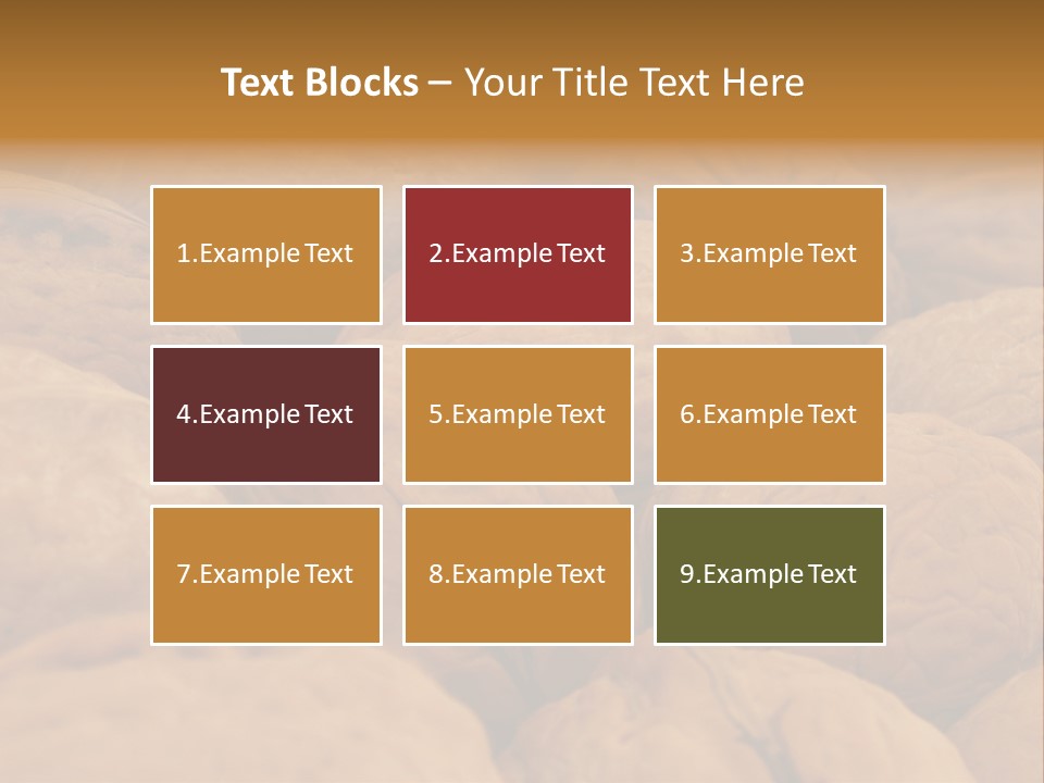 Natural Open Selection PowerPoint Template