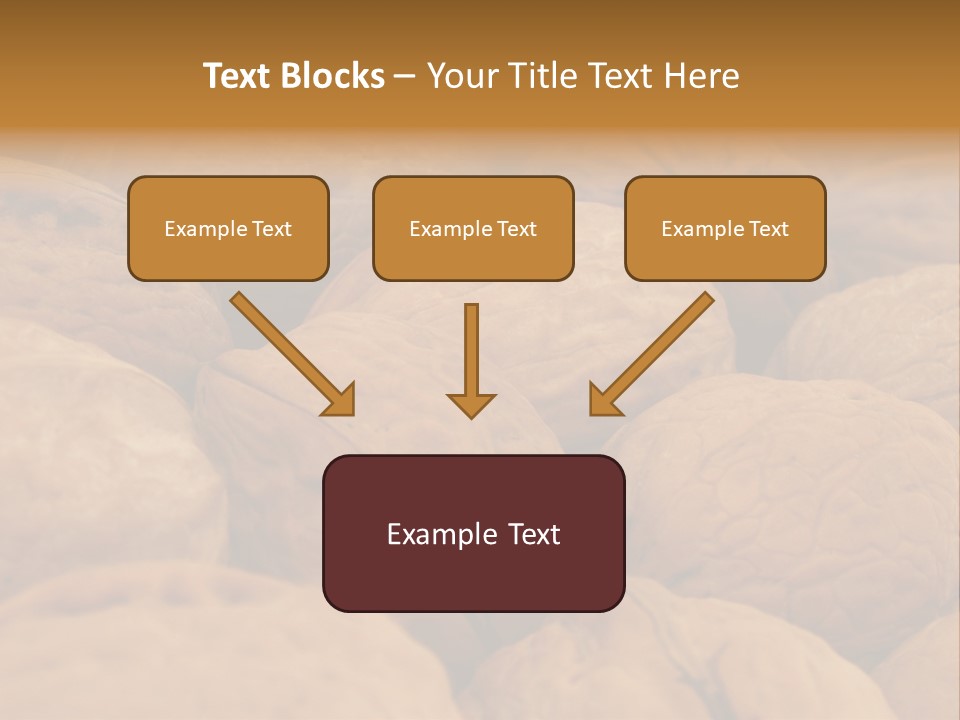 Natural Open Selection PowerPoint Template