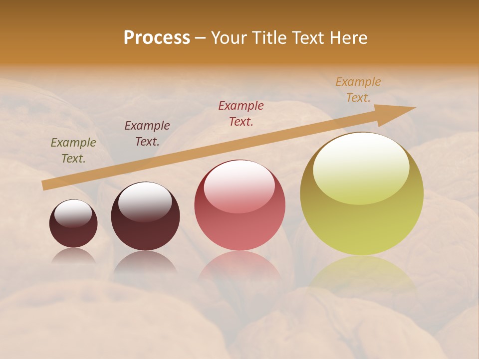 Natural Open Selection PowerPoint Template