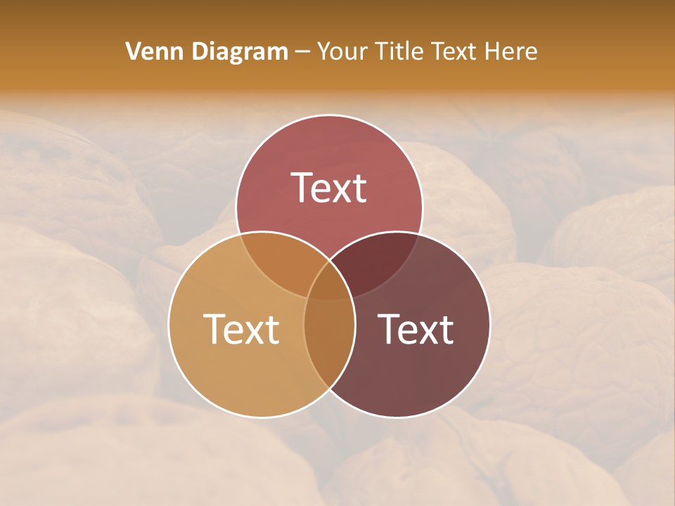 Natural Open Selection PowerPoint Template