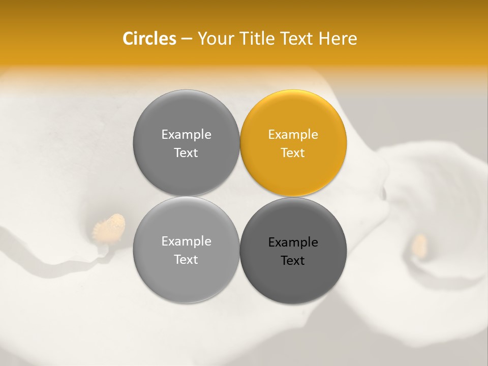 Beautiful Perfect Center PowerPoint Template