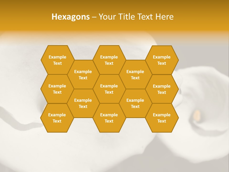 Beautiful Perfect Center PowerPoint Template
