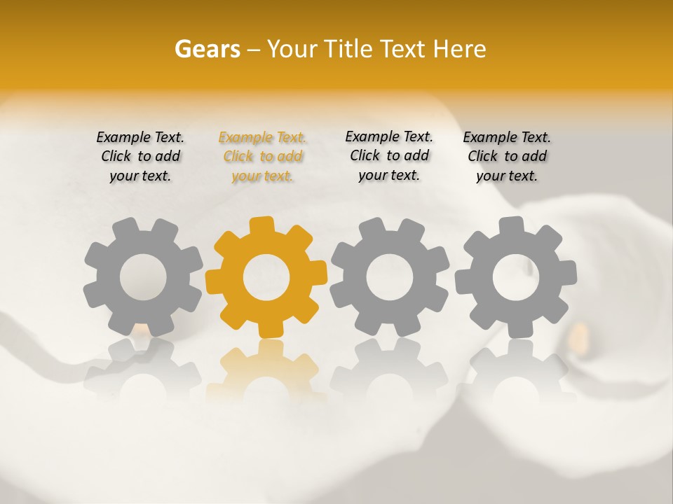 Beautiful Perfect Center PowerPoint Template