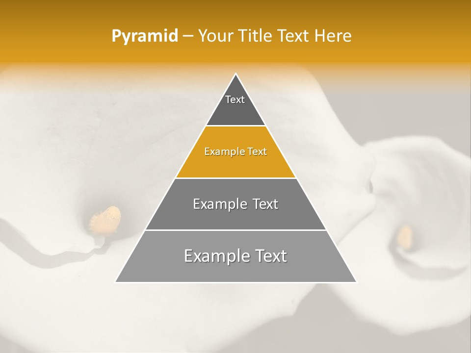 Beautiful Perfect Center PowerPoint Template