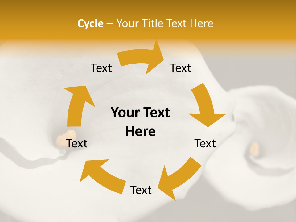 Beautiful Perfect Center PowerPoint Template
