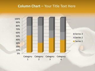 Beautiful Perfect Center PowerPoint Template