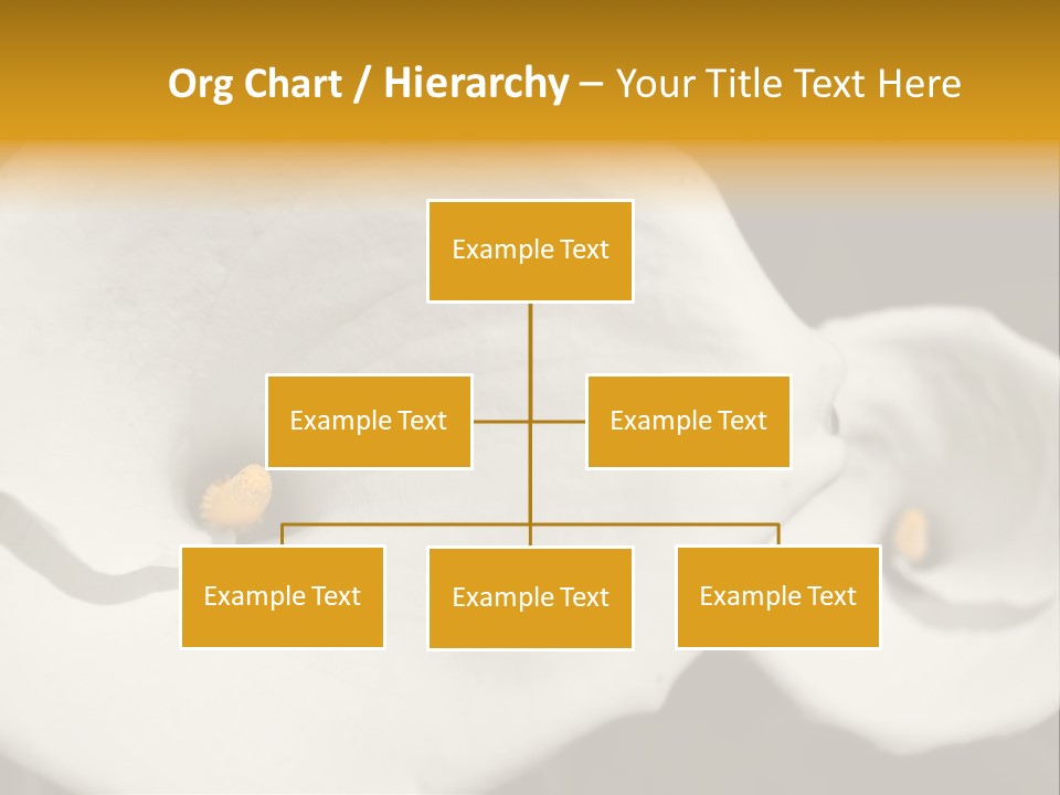 Beautiful Perfect Center PowerPoint Template