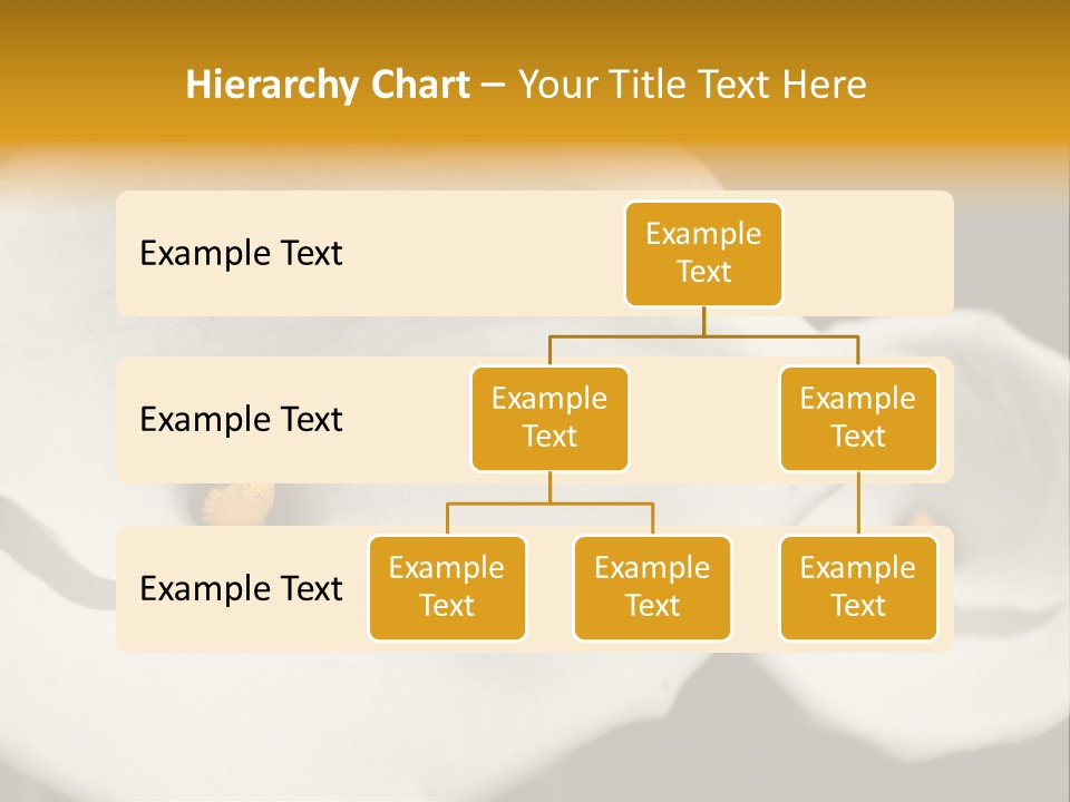 Beautiful Perfect Center PowerPoint Template