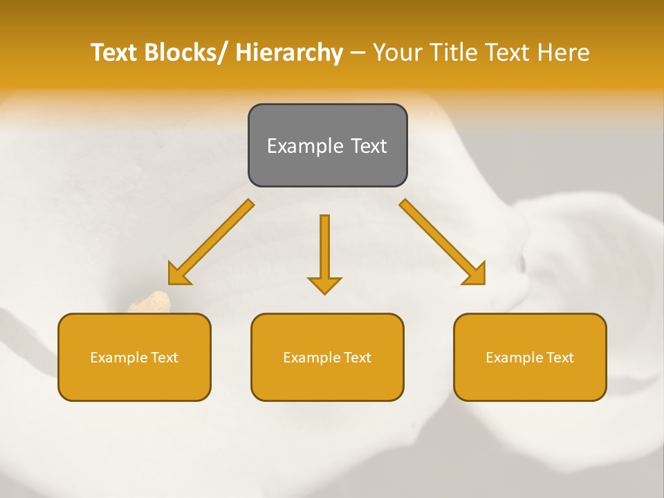 Beautiful Perfect Center PowerPoint Template