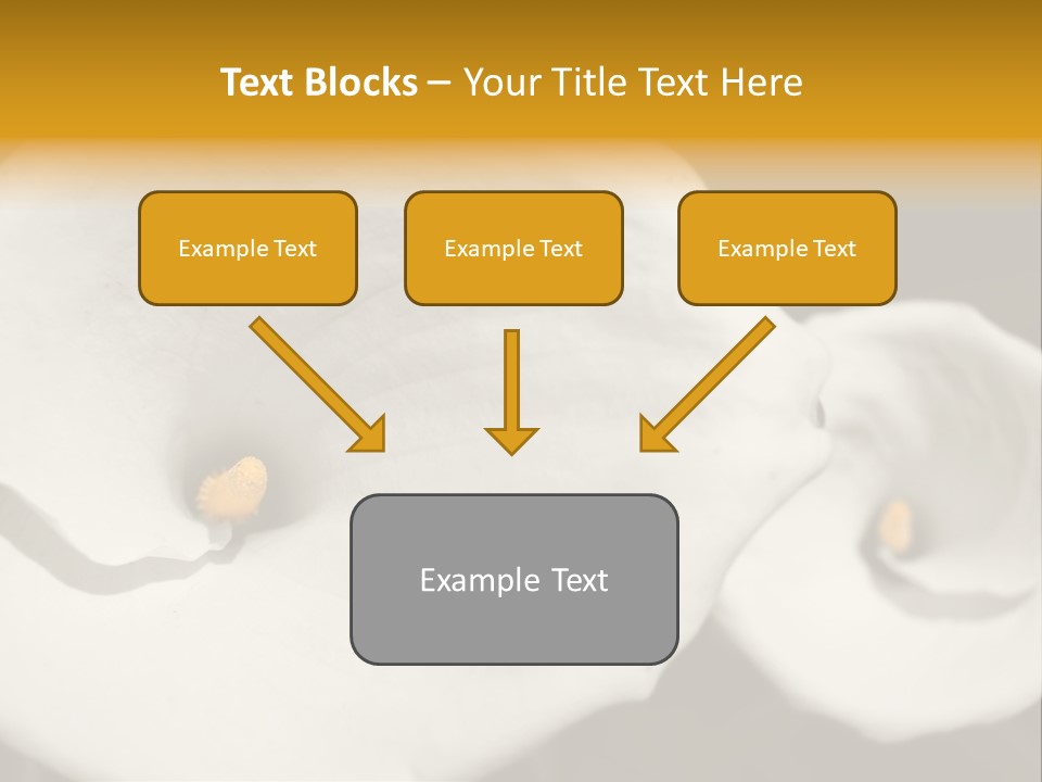Beautiful Perfect Center PowerPoint Template
