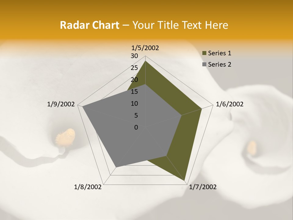 Beautiful Perfect Center PowerPoint Template