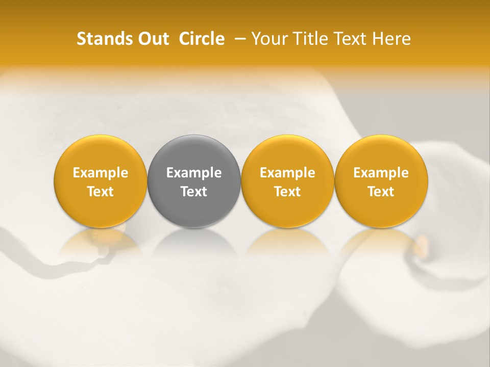Beautiful Perfect Center PowerPoint Template