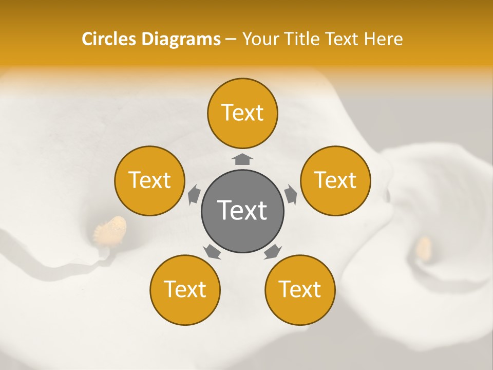 Beautiful Perfect Center PowerPoint Template