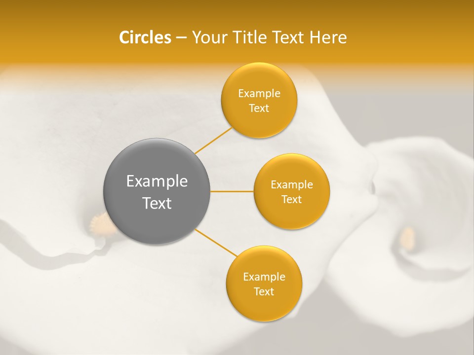 Beautiful Perfect Center PowerPoint Template