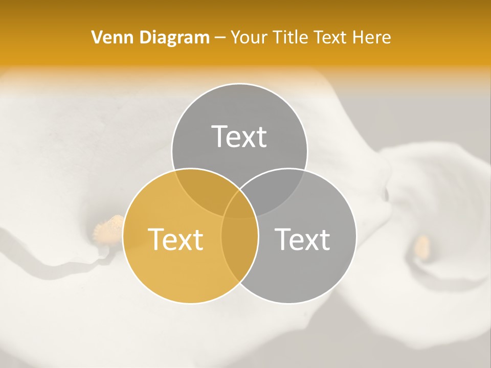 Beautiful Perfect Center PowerPoint Template