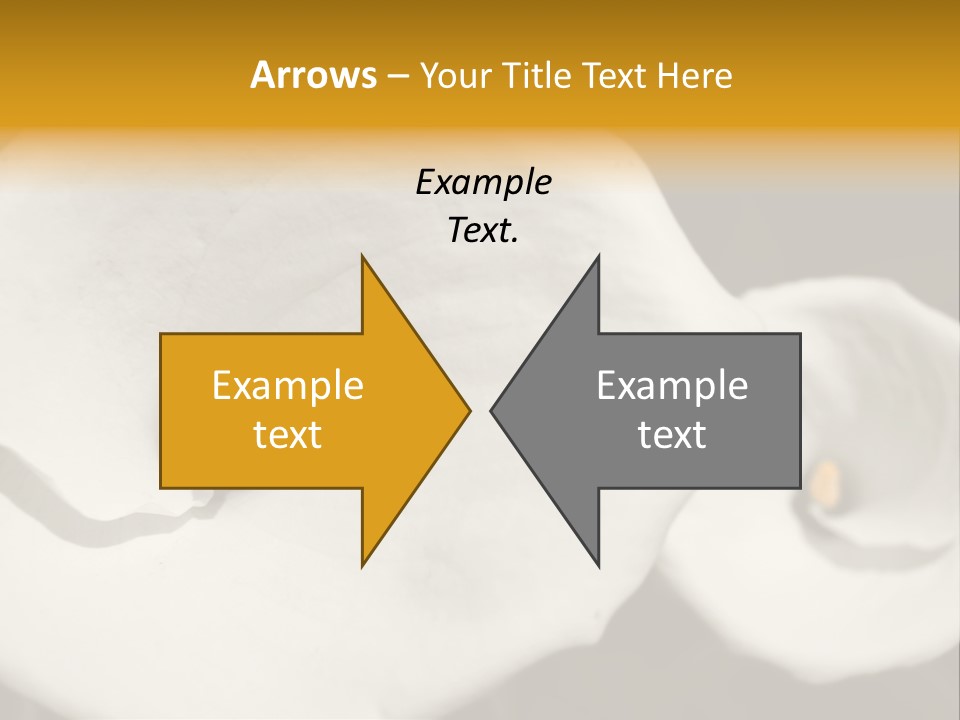 Beautiful Perfect Center PowerPoint Template