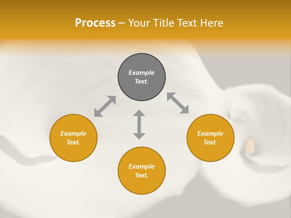 Beautiful Perfect Center PowerPoint Template