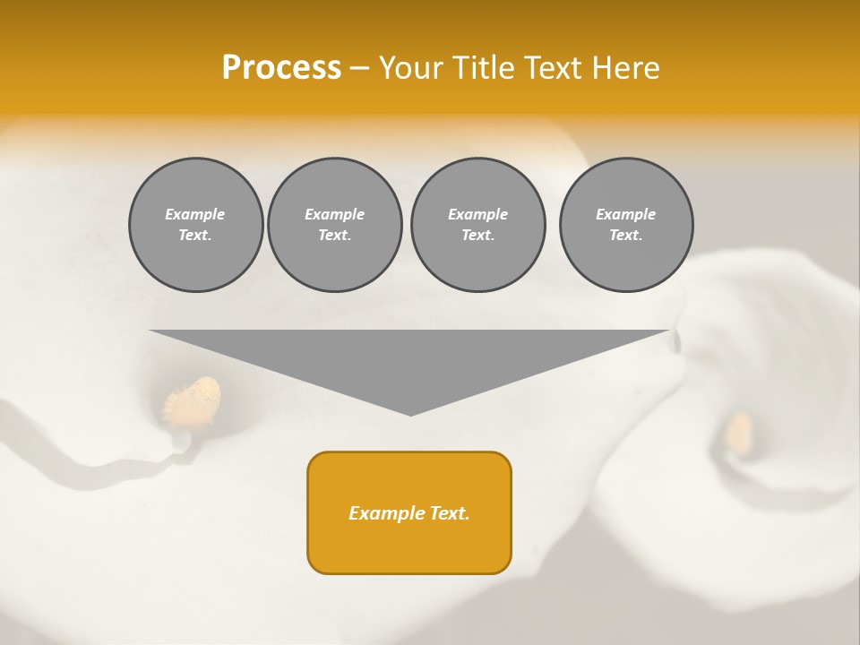 Beautiful Perfect Center PowerPoint Template