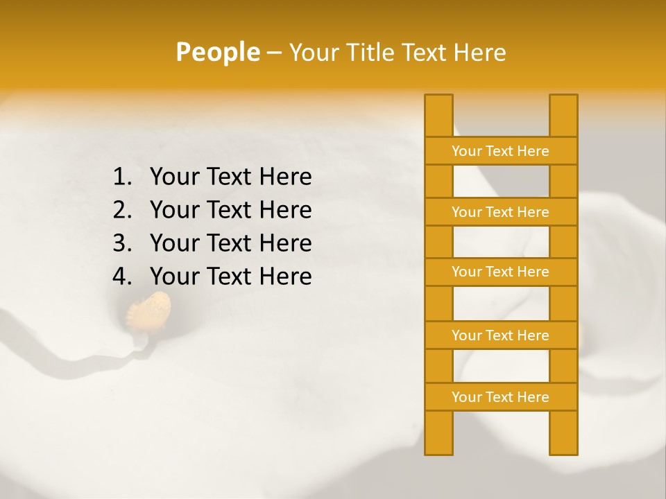 Beautiful Perfect Center PowerPoint Template