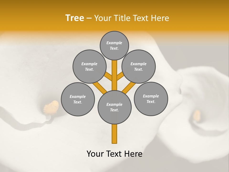 Beautiful Perfect Center PowerPoint Template