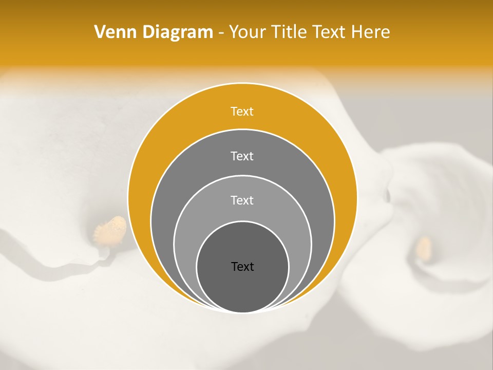 Beautiful Perfect Center PowerPoint Template